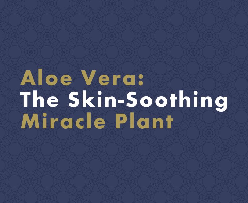 Aloe Vera: The Miracle Plant for Skin Soothing and Its Effects